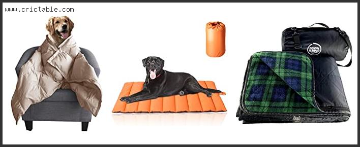 best camping blanket for dogs