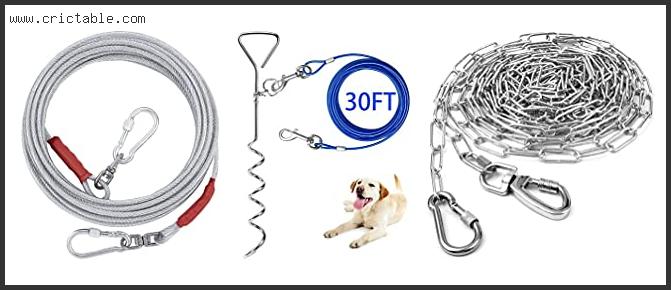 best dog chains for outside