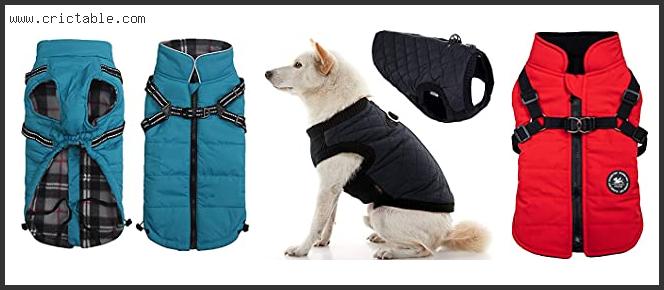 best dog coat with harness