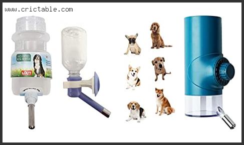 best dog crate water bottle