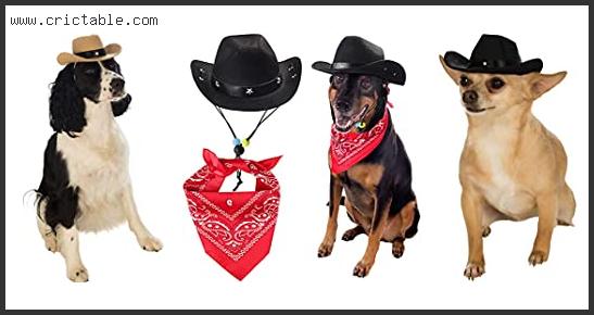 best dog with cowboy hat