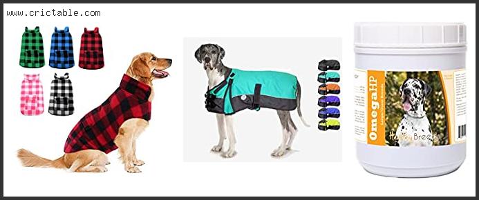 best great dane coats for dogs