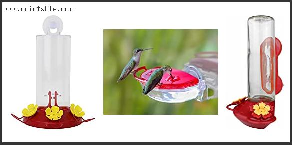 best hummingbird feeder for window