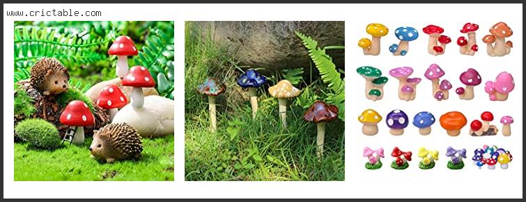 best mushrooms for fairy gardens