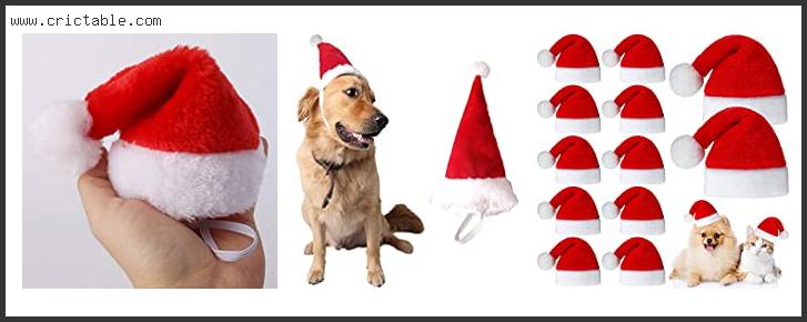 best santa hats for dogs