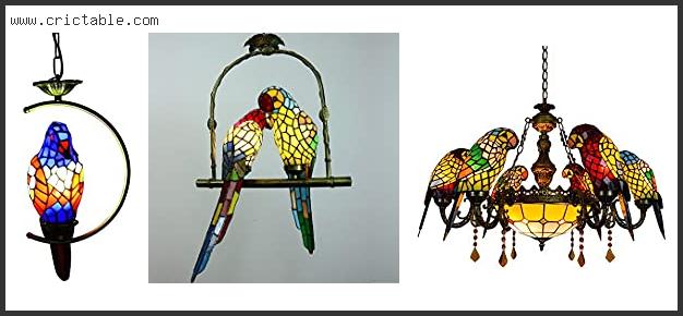 best stained glass parrot lamp