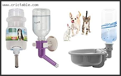 best water dispenser for dog crate