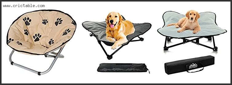 best camping chairs for dogs