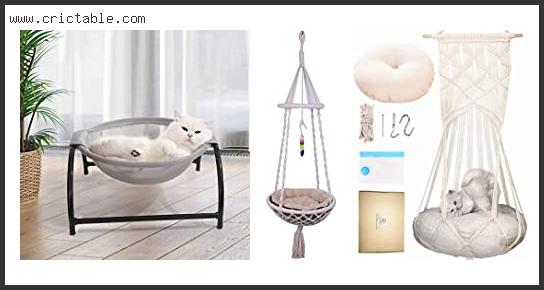 best hanging bed for cats
